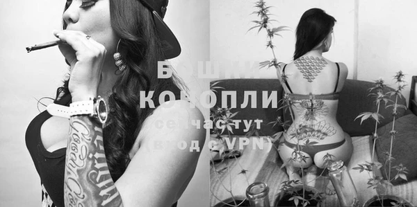 МДПВ Абаза