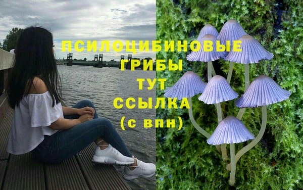 спайс Абдулино