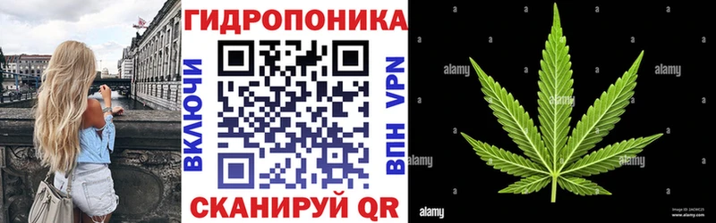 как найти   Ртищево  Бошки марихуана THC 21% 
